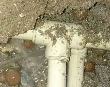 卫辉测漏水多少钱