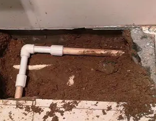 卫辉测漏水哪家好