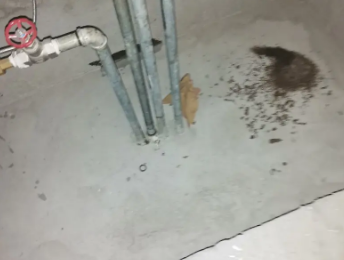 卫辉卫生间测漏水价格明细