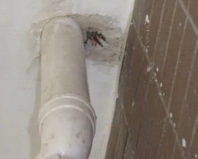 卫辉漏水检测哪家好